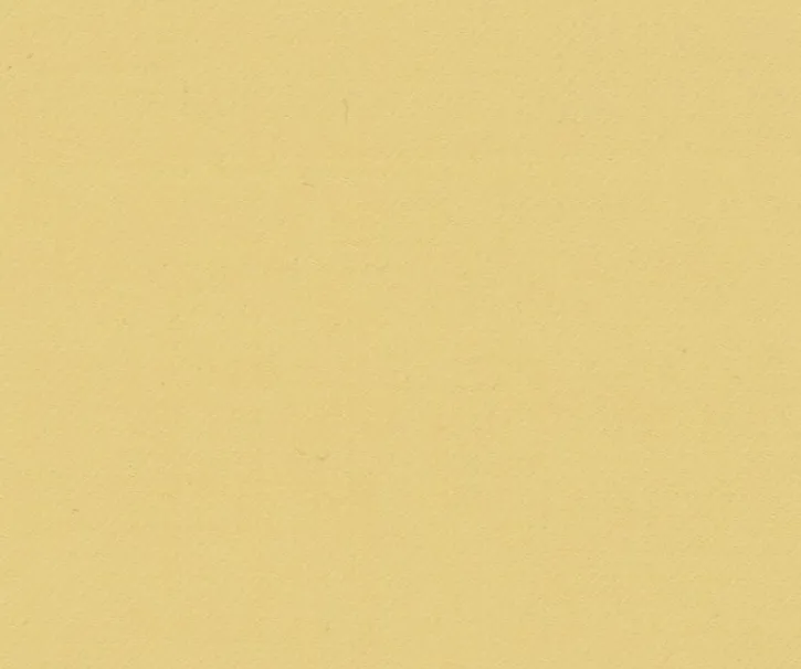 TRAJE SARGA AMARILLO